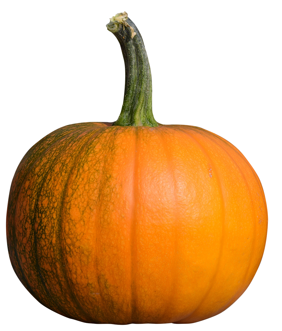simple pumpkin image, pumpkin png, transparent pumpkin png image, simple halloween pumpkin png hd images download